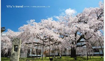 日本關西行》2009年＊Via的京都大阪追櫻之旅 @Via&#039;s旅行札記-旅遊美食部落格