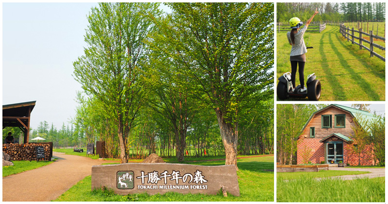 北海道旅遊景點》十勝千年之森～夢幻的療癒系森林大草原、來去森林散散步！ @Via&#039;s旅行札記-旅遊美食部落格