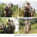 即時熱門文章：Via帶你玩泰國》泰國桂河之旅（上）～大象村、Jungle Raft水上旅館篇