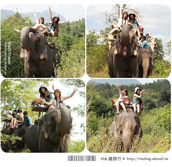 Via帶你玩泰國》泰國桂河之旅（上）～大象村、Jungle Raft水上旅館篇 @Via&#039;s旅行札記-旅遊美食部落格