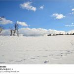 即時熱門文章：鳥取旅行》鳥取砂丘～變身雪丘也好美！鳥取必玩的旅遊景點～