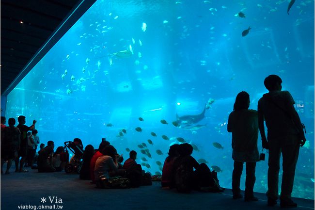 新加坡觀光景點》新加坡SEA海洋館～全球最大的海洋館約會去！ @Via&#039;s旅行札記-旅遊美食部落格