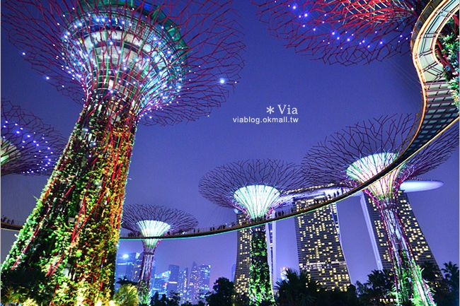 新加坡旅遊景點》濱海灣花園Gardens by the Bay～無敵美的超級樹！大推必去！ @Via&#039;s旅行札記-旅遊美食部落格