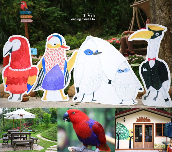【新竹景點推薦】森林鳥花園～親子旅遊的好去處！在森林裡鳥兒與孩子們的樂園 @Via&#039;s旅行札記-旅遊美食部落格