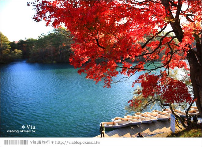 福島景點推薦》五色沼～福島的人氣景點！搭配紅葉的夢幻湖沼之旅 @Via&#039;s旅行札記-旅遊美食部落格