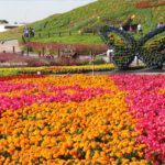 即時熱門文章：台中花毯節》台中后里國際花毯節『花現新樂園』～首度移師后里！年末最大賞花盛事！