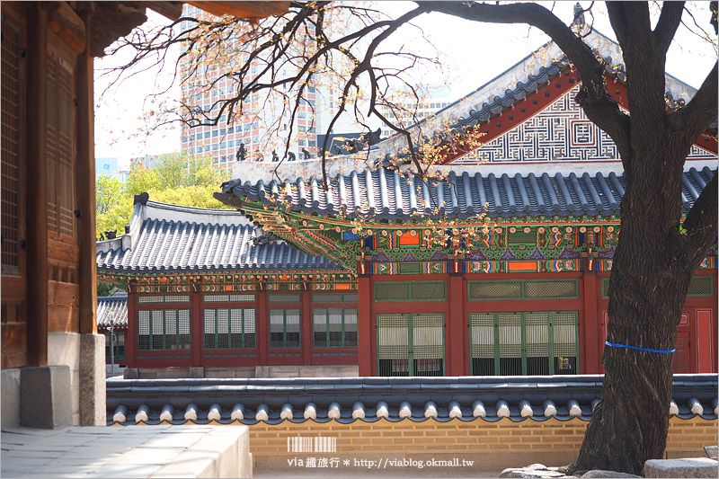 首爾景點推薦》德壽宮～充滿歷史的韓式宮殿，一旁的德壽宮石牆路更是美不勝收！ @Via&#039;s旅行札記-旅遊美食部落格