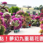 即時熱門文章：彰化九重葛景點》輝豐園藝～九重葛花園！童話般的桃紅色夢幻花園真實登場！