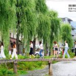 即時熱門文章：京都私房景點》京都一本橋／行者橋～柳樹相伴的古老小石橋，底下溪水超級清澈的小秘境旅點！
