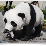即時熱門文章：台北市立動物園》台北木柵動物園貓熊～團團圓圓熊貓一日遊