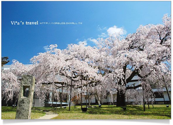 日本賞櫻景點》京都醍醐寺賞櫻之旅～靈寶館 @Via&#039;s旅行札記-旅遊美食部落格