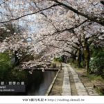 即時熱門文章：via關西賞櫻行》京都賞櫻景點～哲學之道
