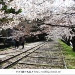 即時熱門文章：via京都賞櫻行》鐵道上的櫻花美景～蹴上鐵道賞櫻