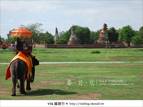 【泰國旅遊】大城騎大象之旅～漫遊在古城之中的小旅行 @Via&#039;s旅行札記-旅遊美食部落格