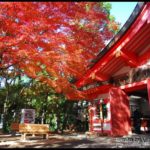 即時熱門文章：Via京都賞楓》Day3●紅通通的奈良～春日大社及東大寺