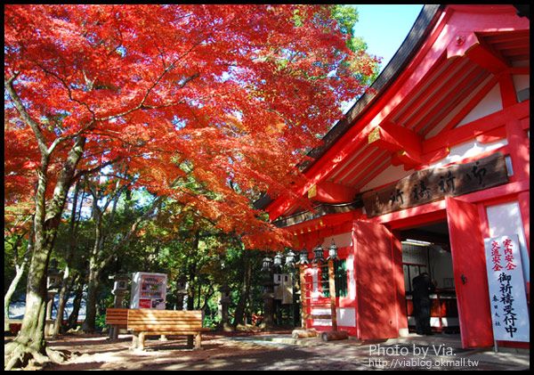 Via京都賞楓》Day3●紅通通的奈良～春日大社及東大寺 @Via&#039;s旅行札記-旅遊美食部落格