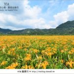 即時熱門文章：日月潭金針花》什麼？會跳舞的金針花，就在南投日月潭！！！