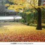 即時熱門文章：京都紅葉名所》via的京都紅葉紀行＊絕美紅葉地毯～南禪寺