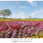 即時熱門文章：南投花卉嘉年華》埔里赤崁頂農場～南投花卉嘉年華實況分享