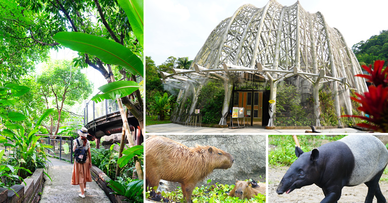 台北市立動物園》最新熱帶雨林館～根本侏儸紀公園場景！水豚、樹懶、馬來貘&#8230;療癒系動物一次看個夠！ @Via&#039;s旅行札記-旅遊美食部落格
