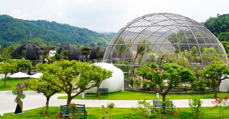 九九峰動物樂園》全新開幕！打造亞洲最大的鳥類主題樂園，超多鳥類、羊駝、狐獴等可愛動物和你近距離相見歡 @Via&#039;s旅行札記-旅遊美食部落格