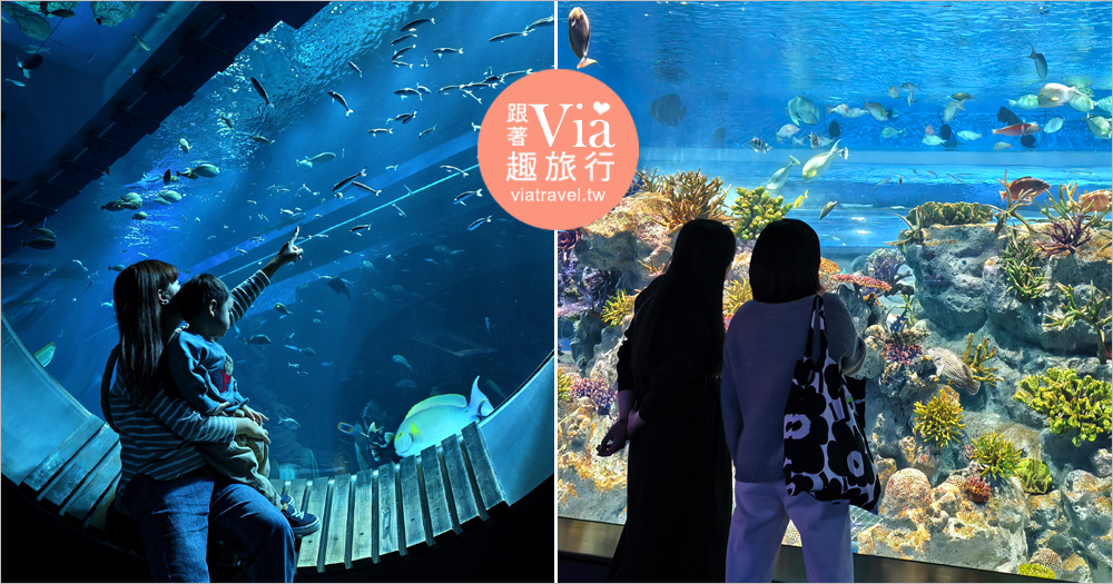 沖繩親子景點》DMM Kariyushi水族館～全室內展區結合商場一起逛！親子旅遊&雨天備案最佳選擇！ @Via's旅行札記-旅遊美食部落格
