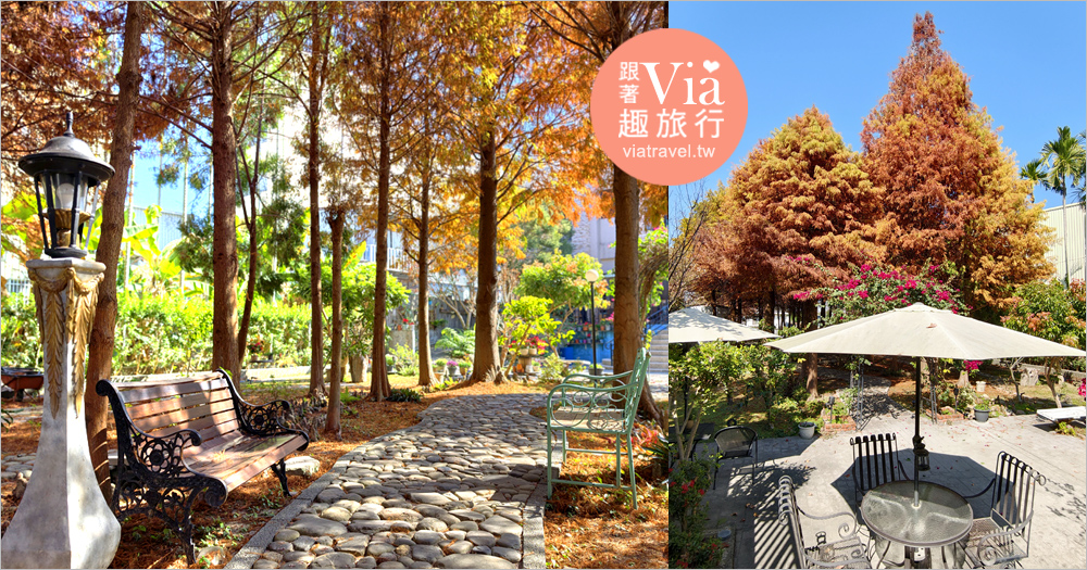 即時熱門文章：草屯林果探戈餐廳》草屯義大利麵餐廳～紅通通！沒想到這裡藏了一座夢幻的落羽松庭園