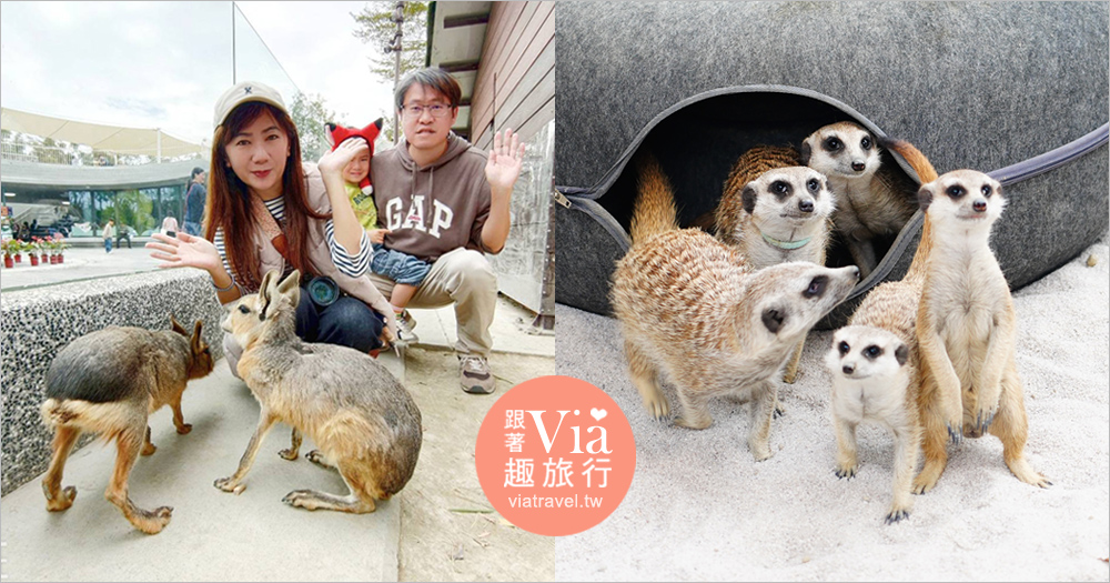 即時熱門文章：高雄野森動物學校》最新動物園二天一夜深度開箱～動物區和住宿區跟著我這樣玩就對了！